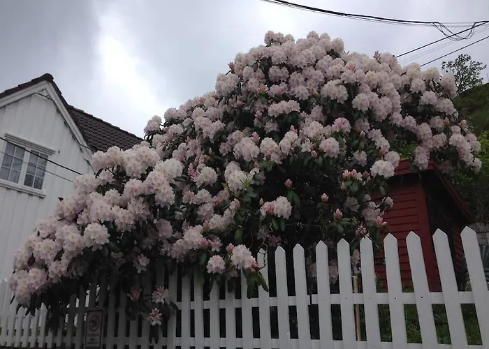 Bore-huset * Sogndalsstrand